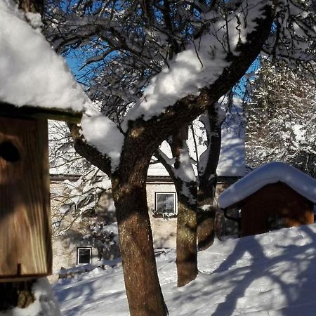 Ferienhaus Hirschnest Sankt Pankraz Екстериор снимка