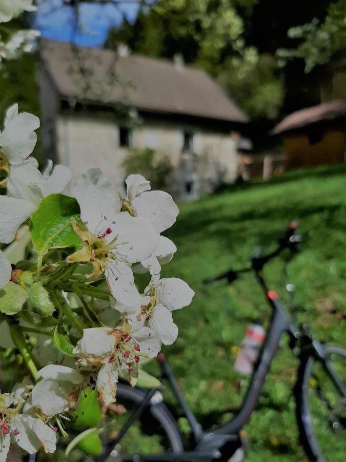 Ferienhaus Hirschnest Sankt Pankraz Екстериор снимка