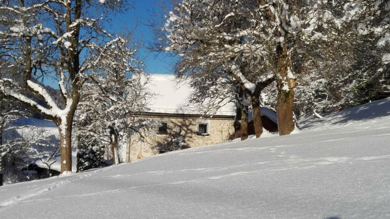 Ferienhaus Hirschnest Sankt Pankraz Екстериор снимка