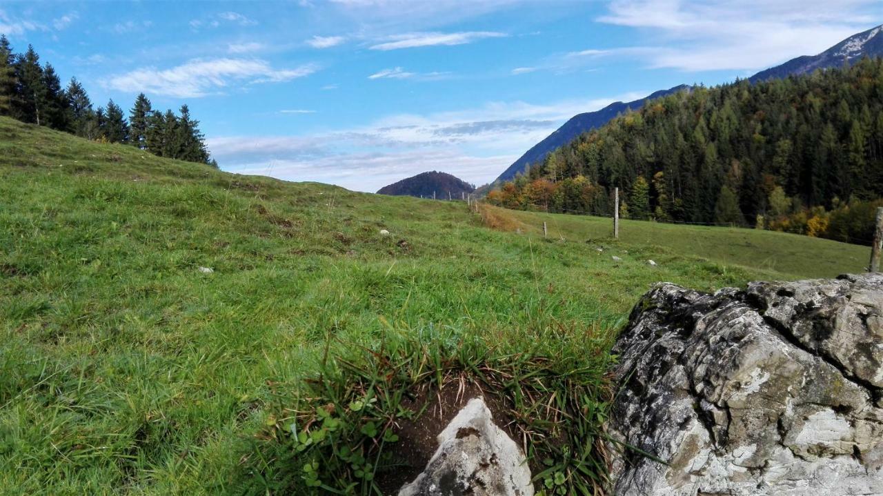 Ferienhaus Hirschnest Sankt Pankraz Екстериор снимка